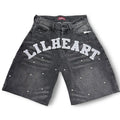 University Denim Jean Shorts
